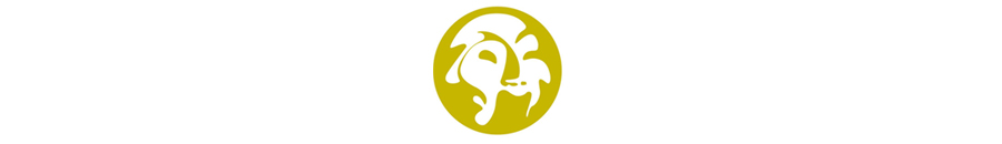 la-mascara logo2