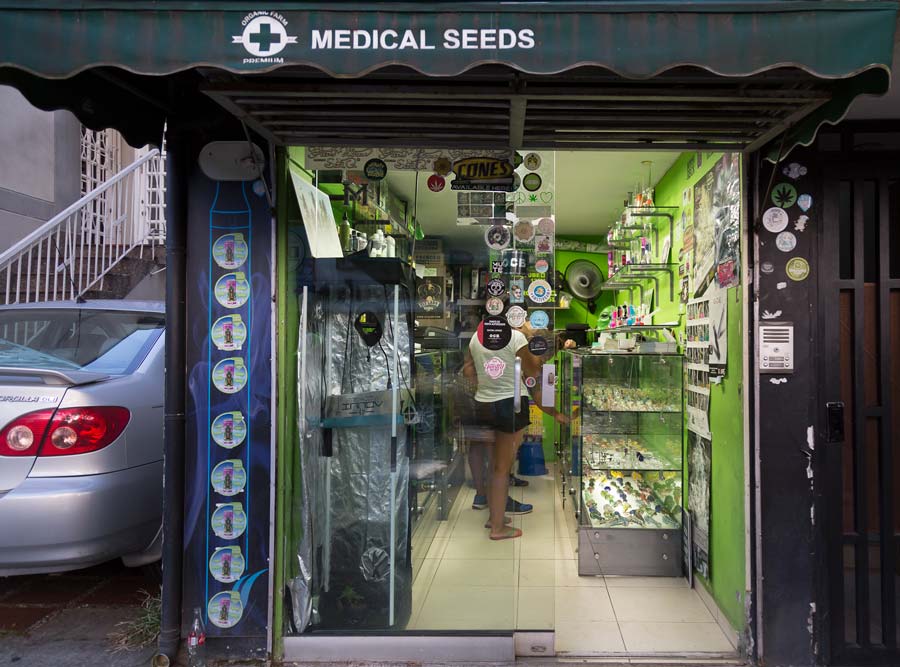 City-grow-shop-1