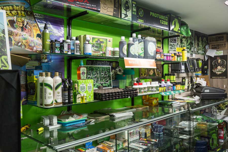 City-grow-shop-2
