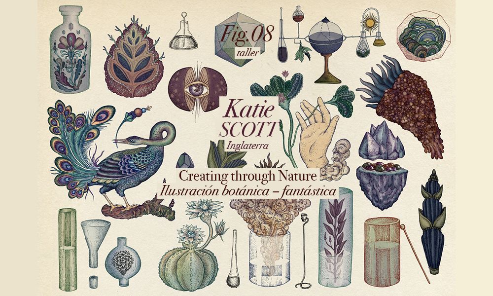 Katie Scott Tallerjpg