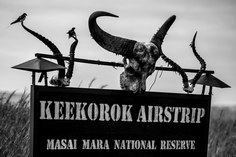 Maasai-Mara-National-Reserve-33