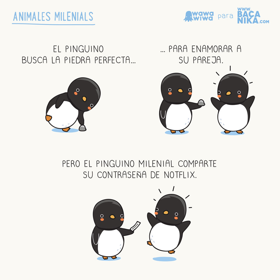 Pinguino-milenial