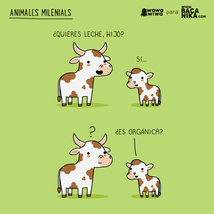 Vaca-milenial