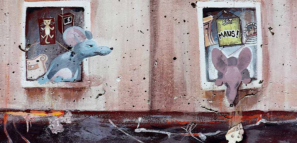 ¿Cómo afrontar la crisis de roedores en la ciudad?
