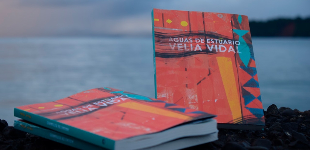 La mar chocoana: entrevista a Velia Vidal