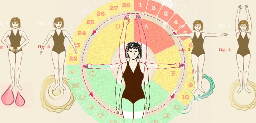¿Qué ocurre en nuestro cuerpo durante el ciclo menstrual?